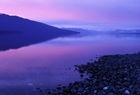 Fiordland  ID 10196.jpg